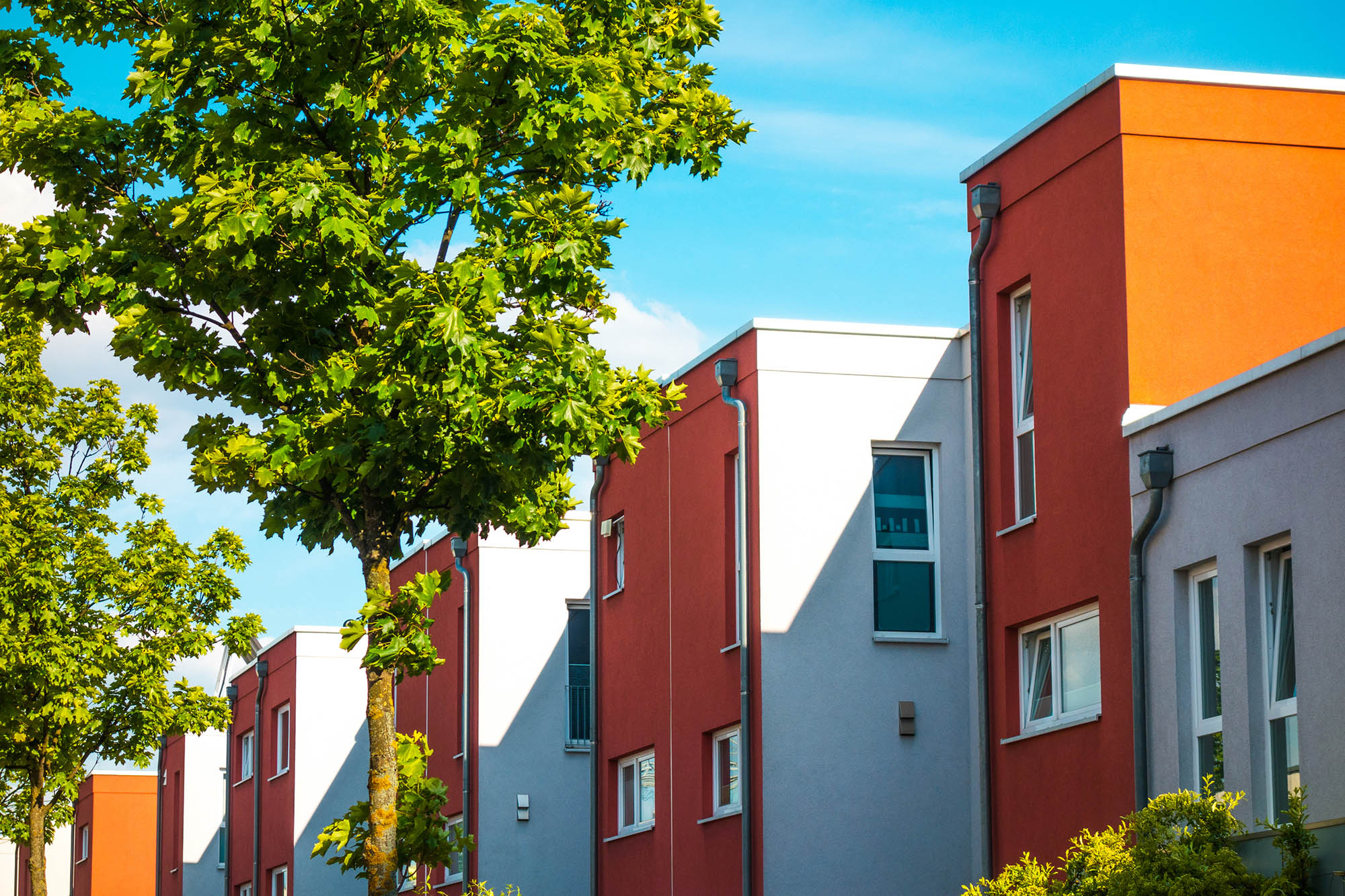 Modern, colorful apartment buildings with trees in front under a bright blue sky, perfect for those seeking a vibrant environment for training or consulting professionals.
