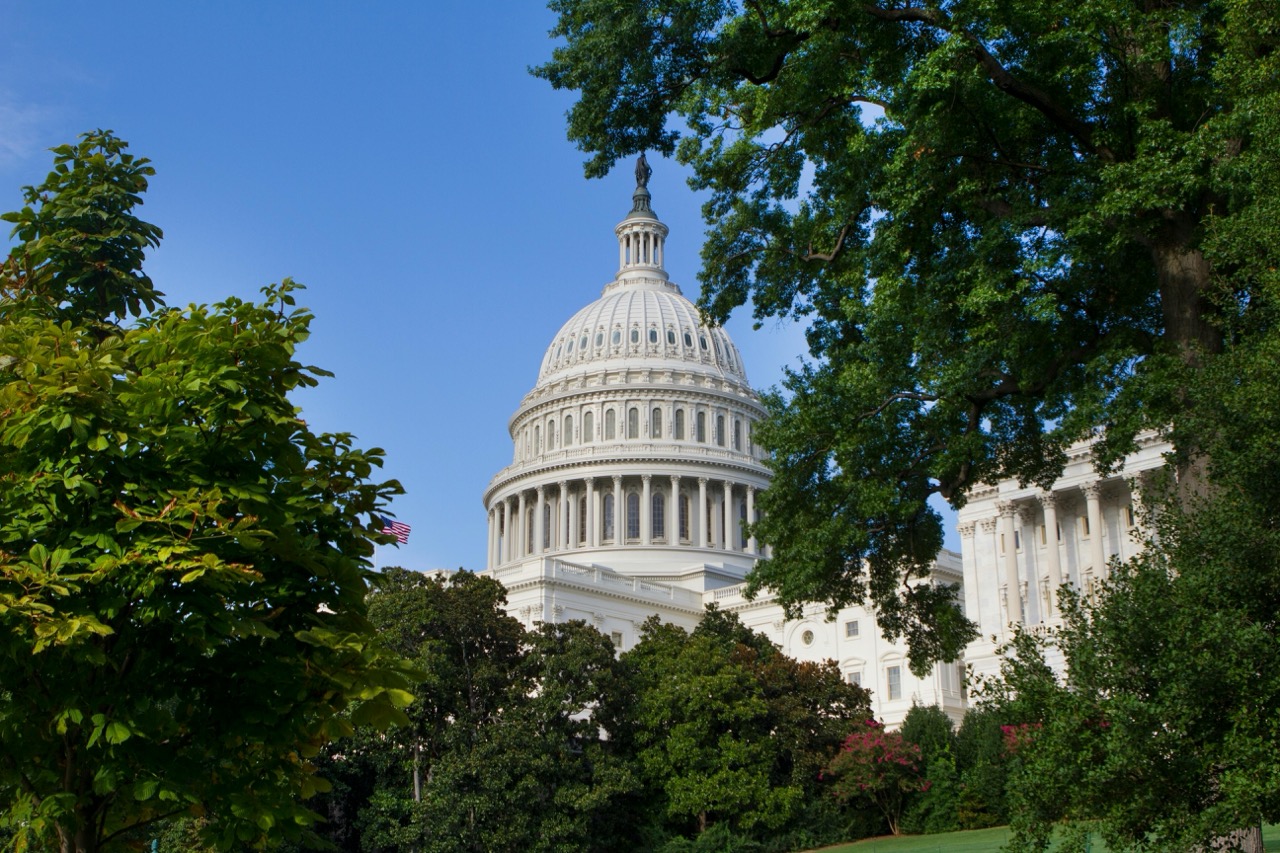 The U.S. Capitol building dome framed by trees against a clear blue sky.